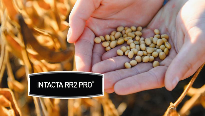 Intacta RR2 PRO®